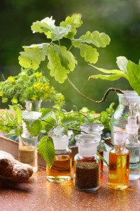 Kurze Geschichte Der Pflanzenheilkunde (Phytotherapie)