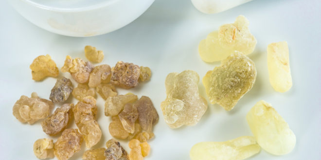 Weihrauch (Boswellia) Anwendung Wirkung Günstig kaufen